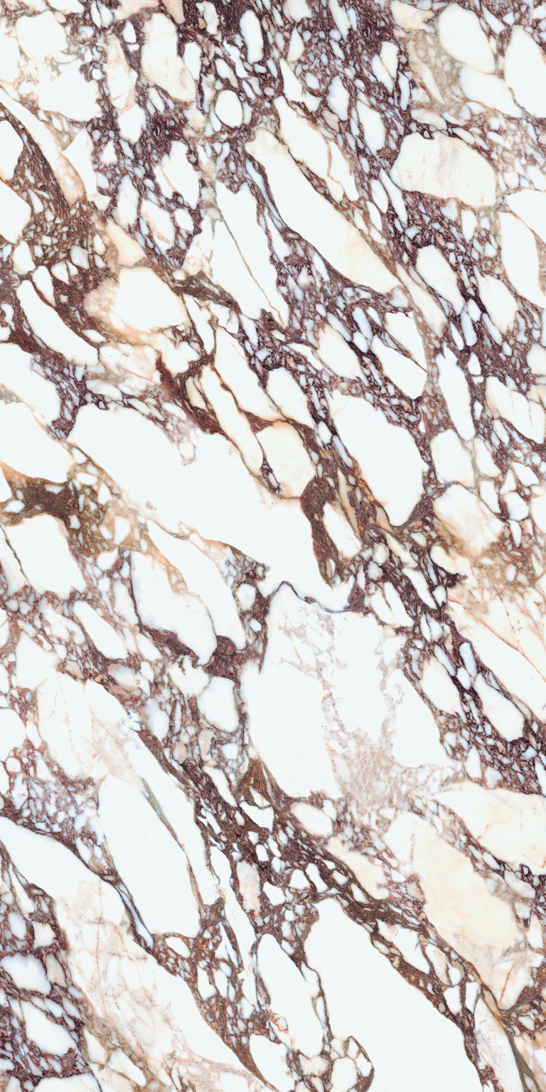 Calacatta Viola Book Match